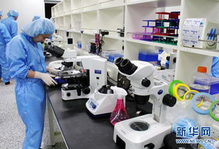 探訪韓國克隆工廠 走進(jìn)秀巖生命工學(xué)研究所的科技與倫理邊界