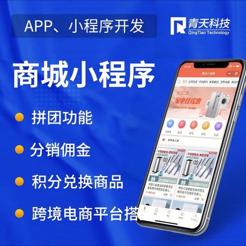 商城小程序定制開(kāi)發(fā)源碼交付
